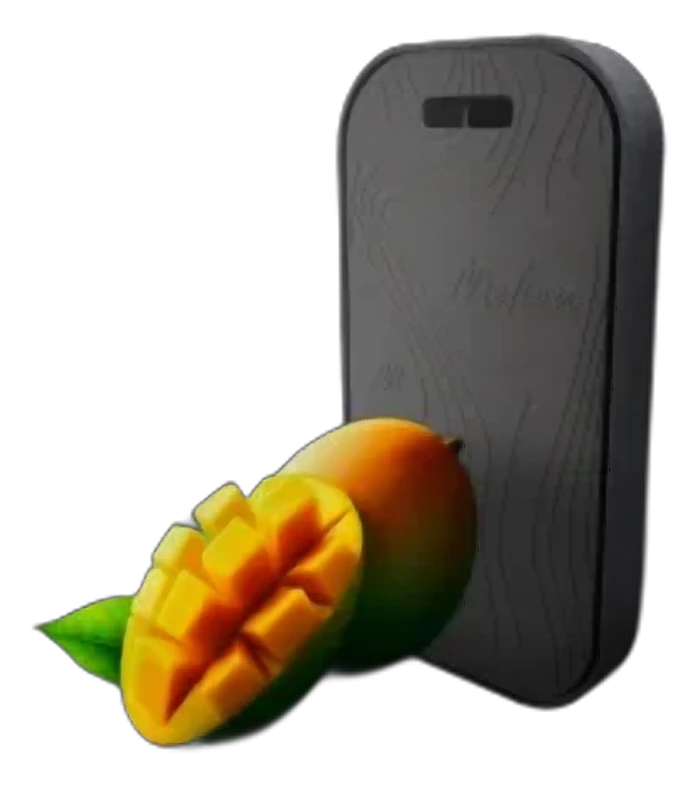 Melien Green Mango керамический ароматизатор (манго) (Cвежий и фруктовый аромат с яркими акцентами зеленого манго)