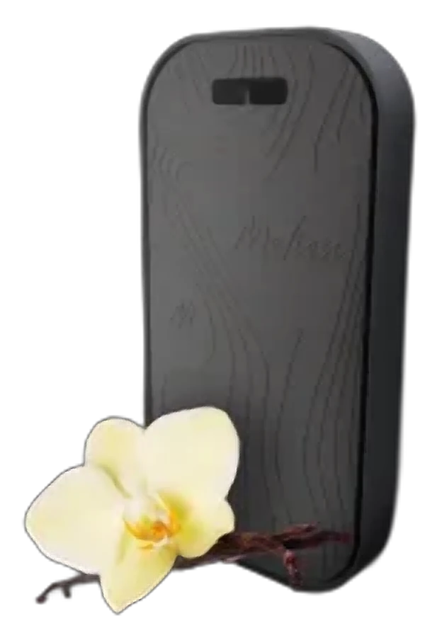 Melien Vanilla (ваниль) керамический ароматизатор (Теплый, сладкий и уютный аромат с глубокими, мягкими оттенками ванили)