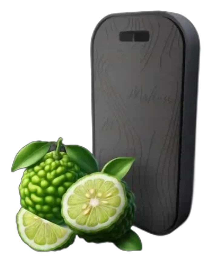 Melien Bergamot (бергамот) керамический ароматизатор (Свежий, цитрусовый аромат с травяными и древесными оттенками)