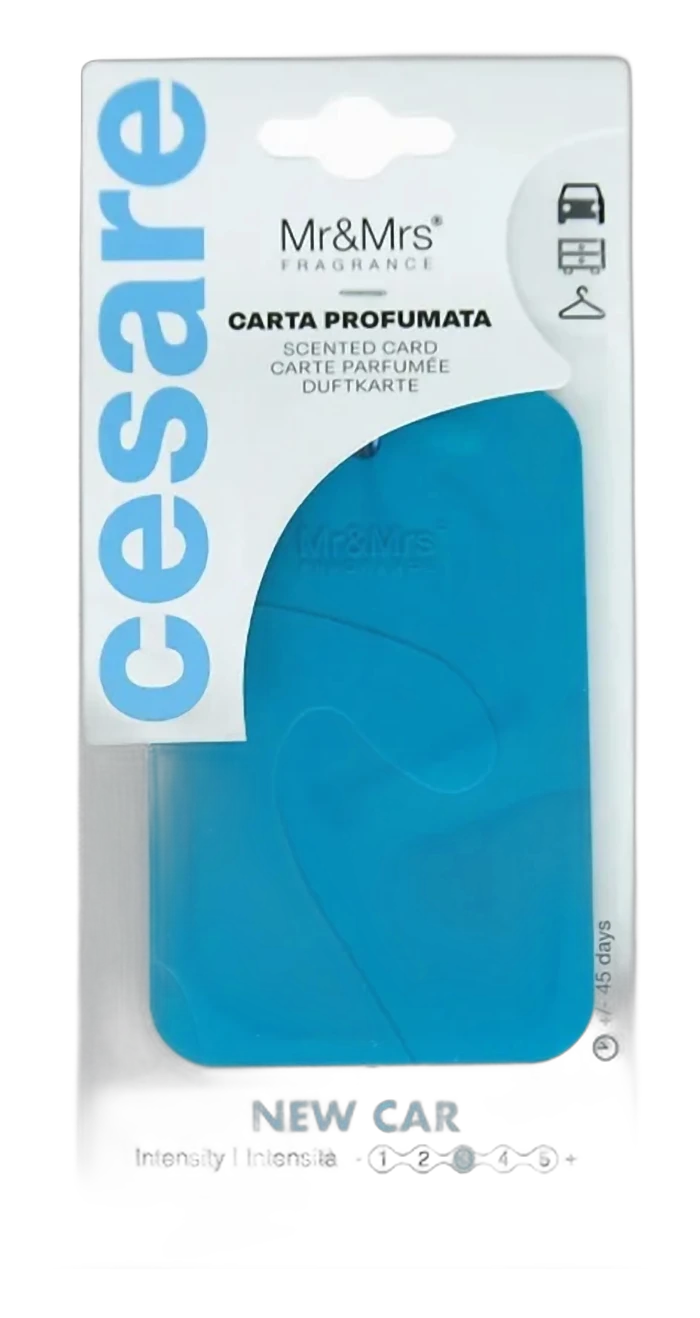 CESARE CARD/ (Аромакарточка для автомобиля)/ небесный NEW CAR / Новая машина
